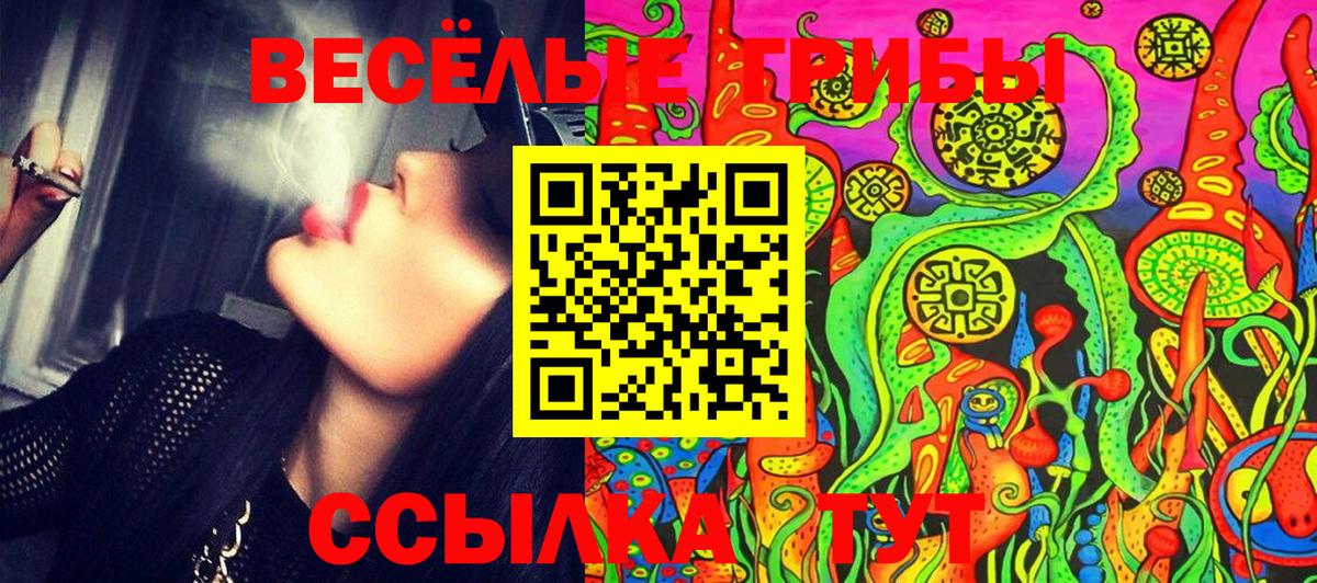 Псилоцибиновые грибы мухоморы  Псилоцибиновые грибы MAGIC MUSHROOMS  Казань  Вход с VPN 