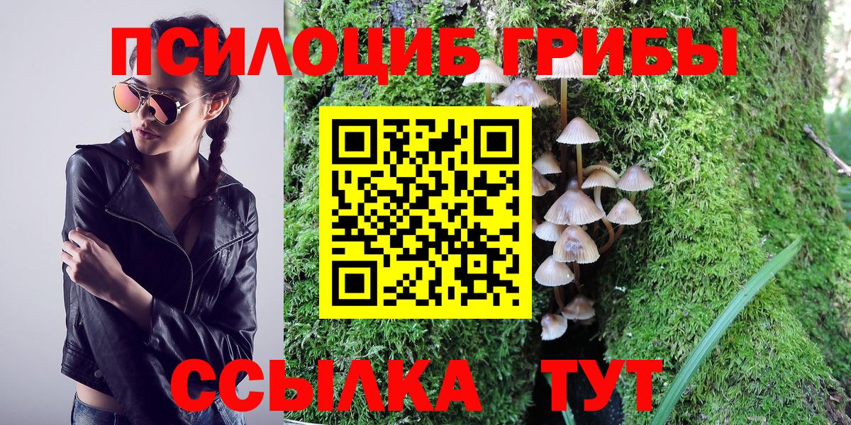 Галлюциногенные грибы Magic Shrooms  магазин    Казань 