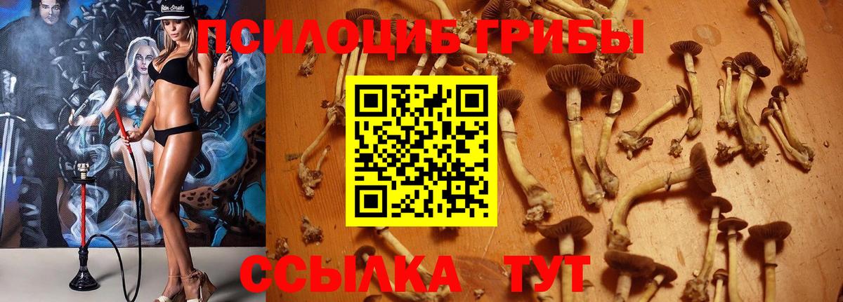 Галлюциногенные грибы MAGIC MUSHROOMS Казань