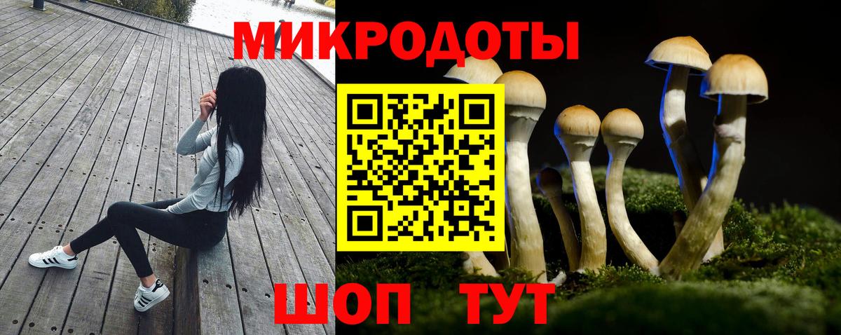 Галлюциногенные грибы прущие грибы Казань