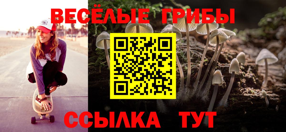 МЕФ Казань